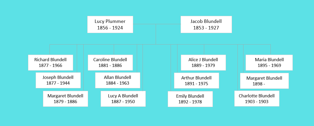 Lucy Plummer (1856) Family