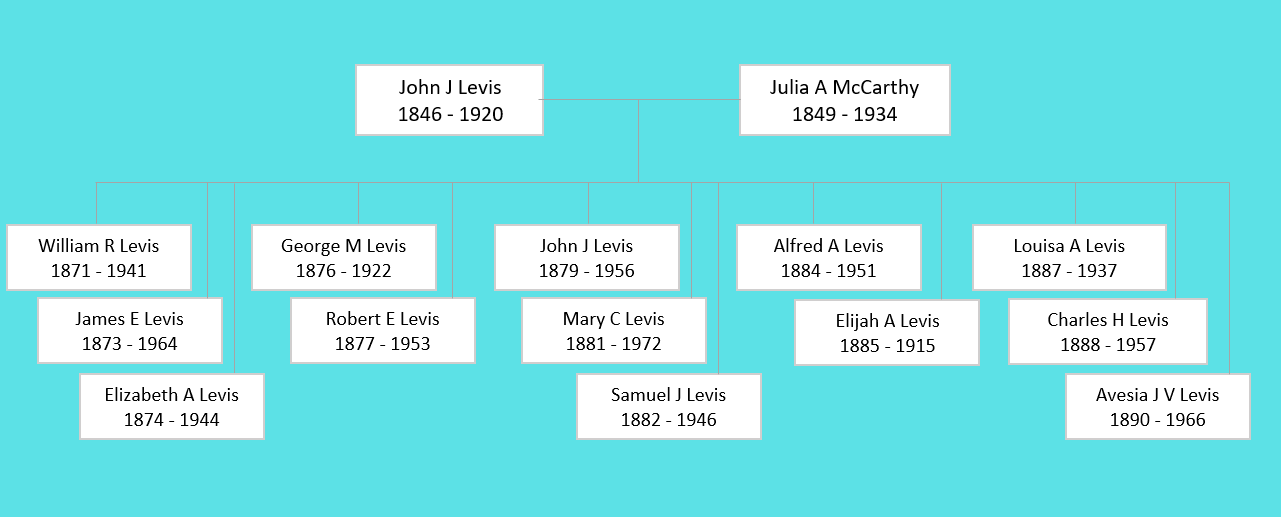 John Joseph Levis Family